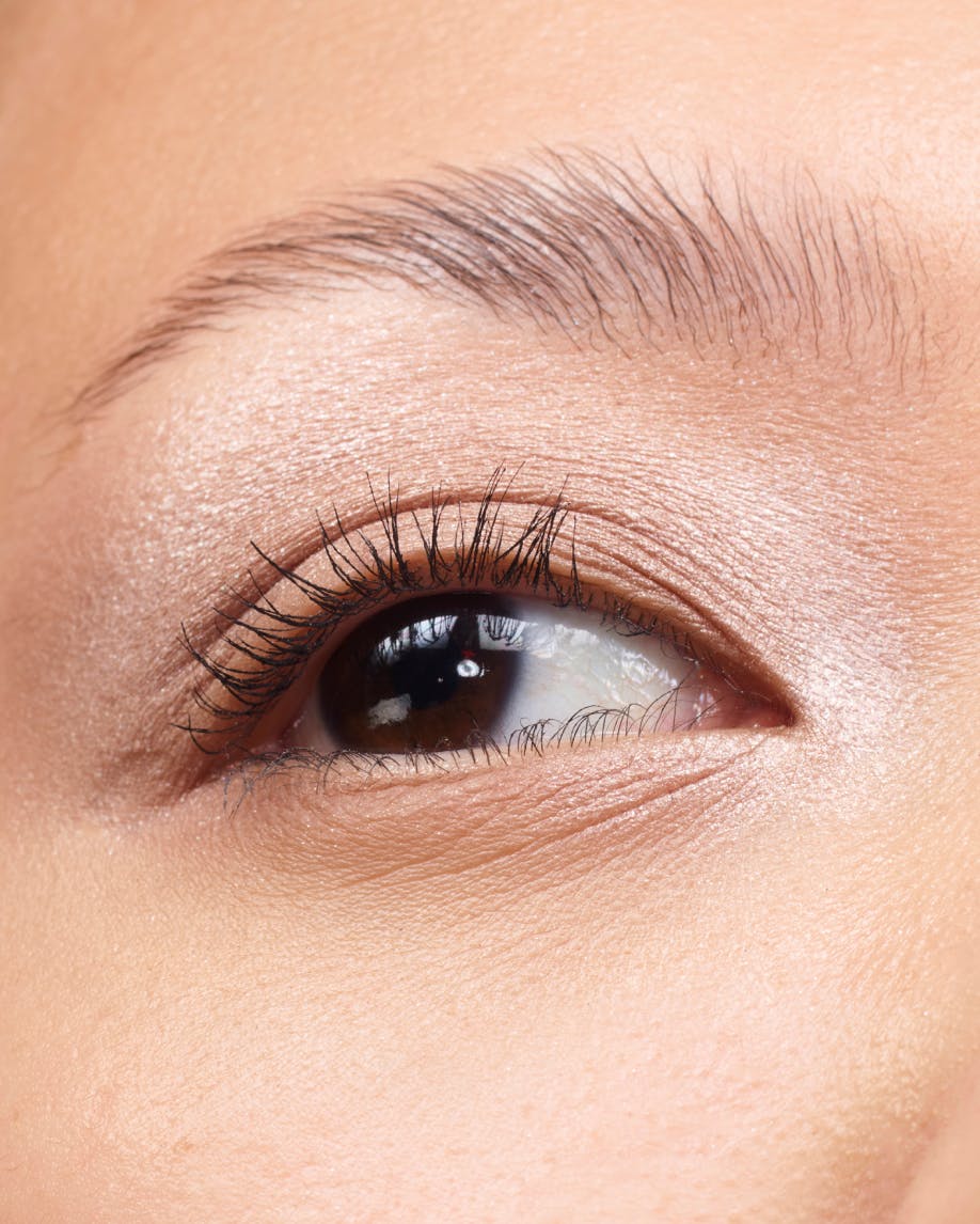 MonoMuse Essential Eyeshadow Trio